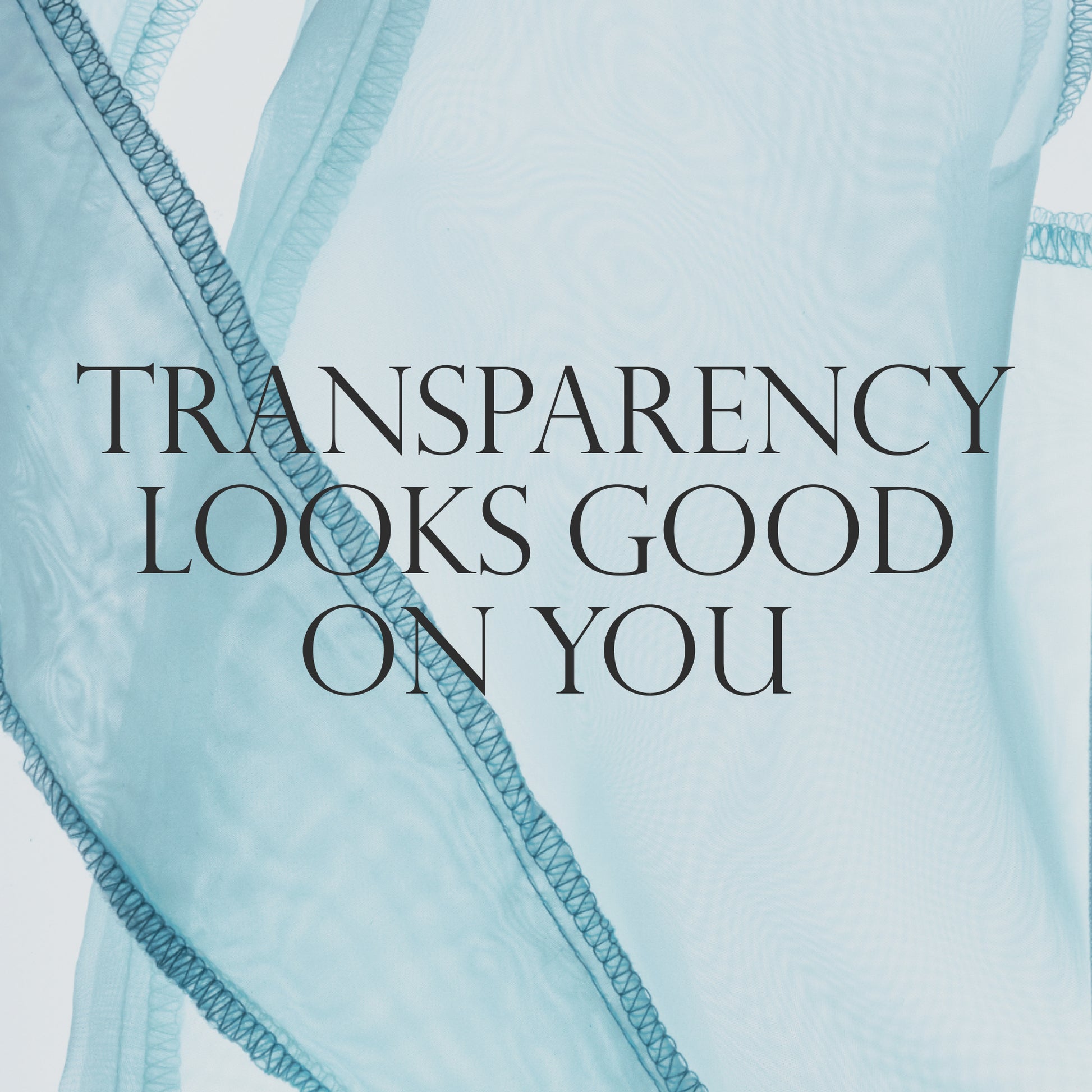 The Dieux-It-All Tote as the background.
Text: Transparency looks good on you