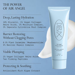 The Power of Air Angel ingredients and benefits graphic